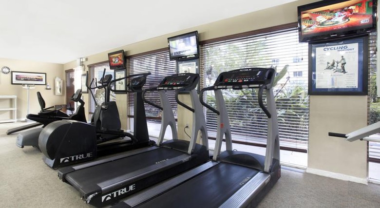 Hotel Holiday Inn Coral Gables