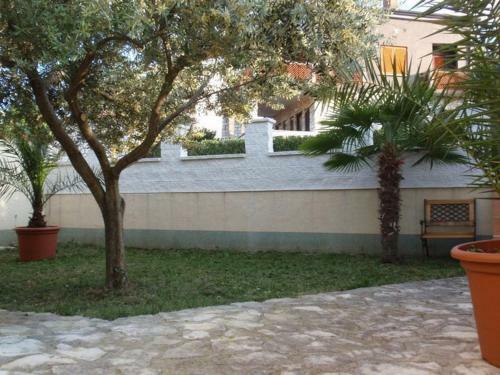 Apartments Salvore