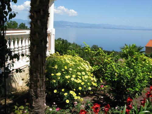 Bed And Breakfast Villa Iris