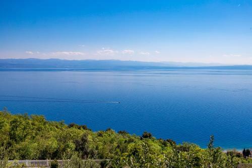 Apartments Davor