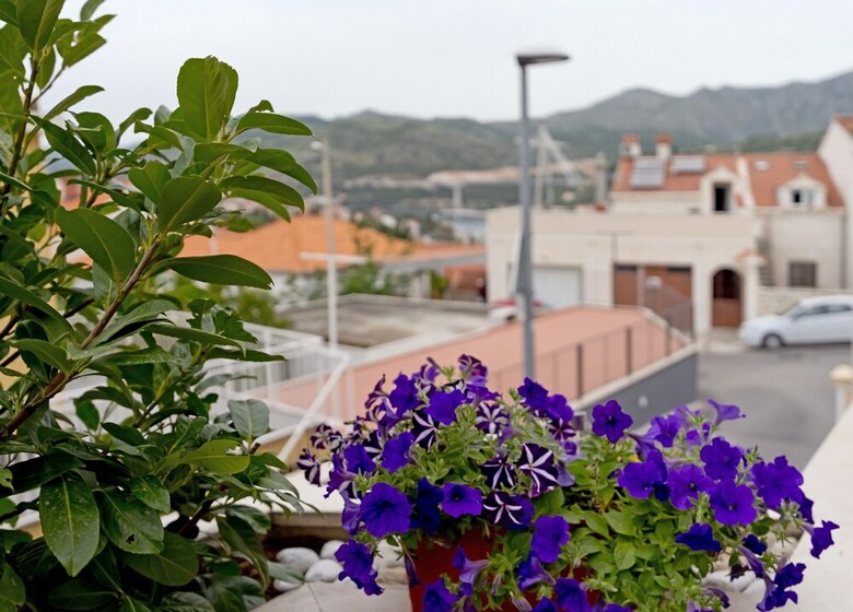 Apartment Michelle - 2 Bedrooms,terrace, Sea View