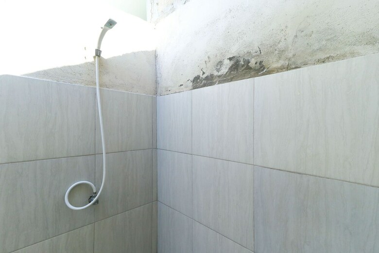 Residencia Dragonfly