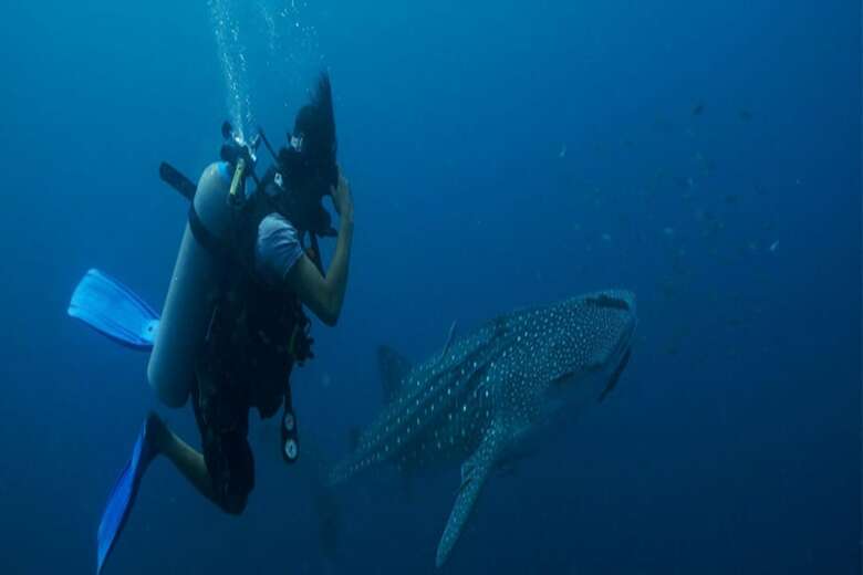 Apartamento Ban's Diving Resort