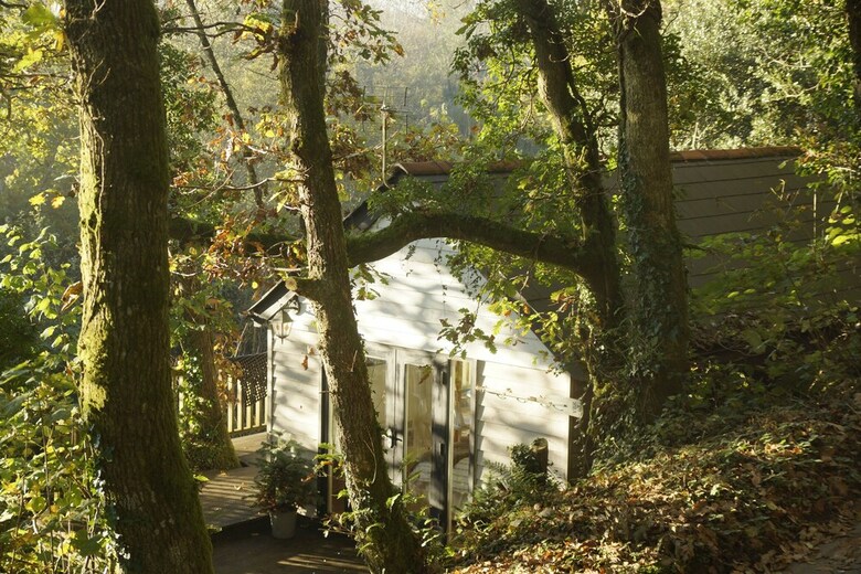 The Cabin At Wrinklers Wood