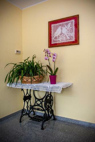 Apartments Masera