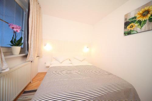 Apartments And Rooms Jozica