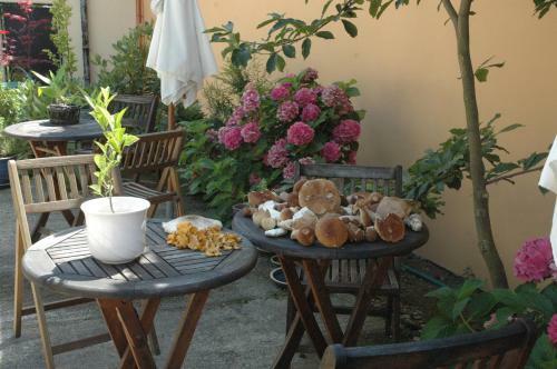 Apartamentos Penzi�n A Kemping Sokol