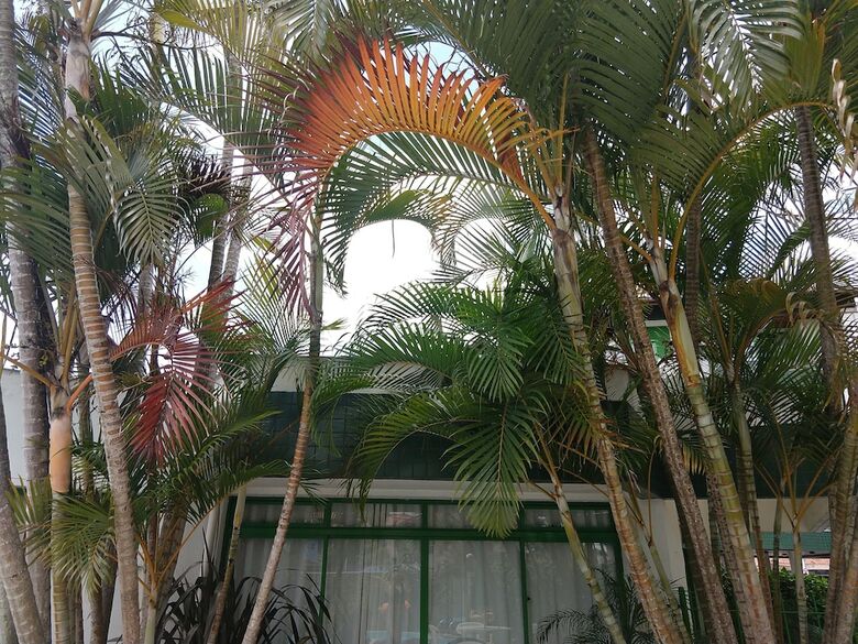 Excelente Apart Hotel No Norte Da Ilha