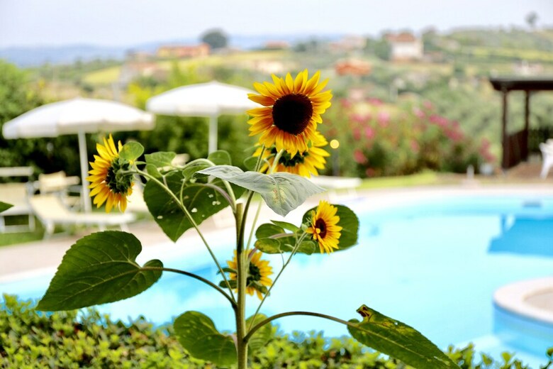 Agroturismo Agriturismo Villa Fiore