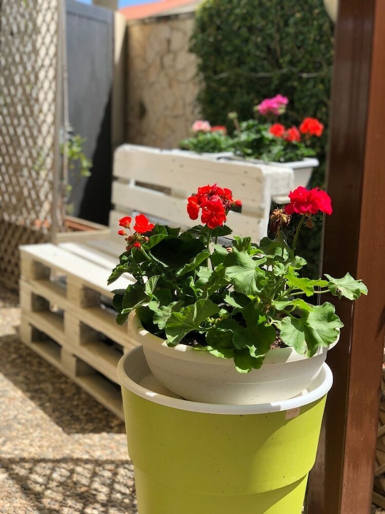 Apartamento La Rosa Dei Venti Di Avola
