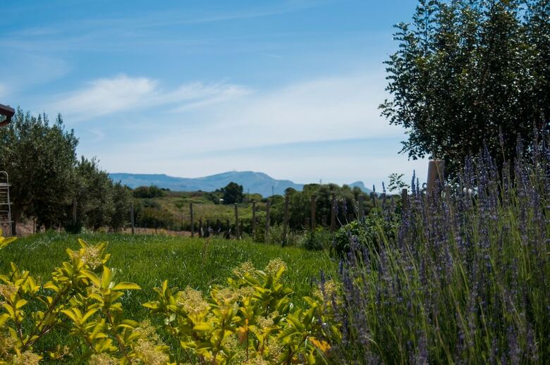Bed & Breakfast Relais Casina Miregia