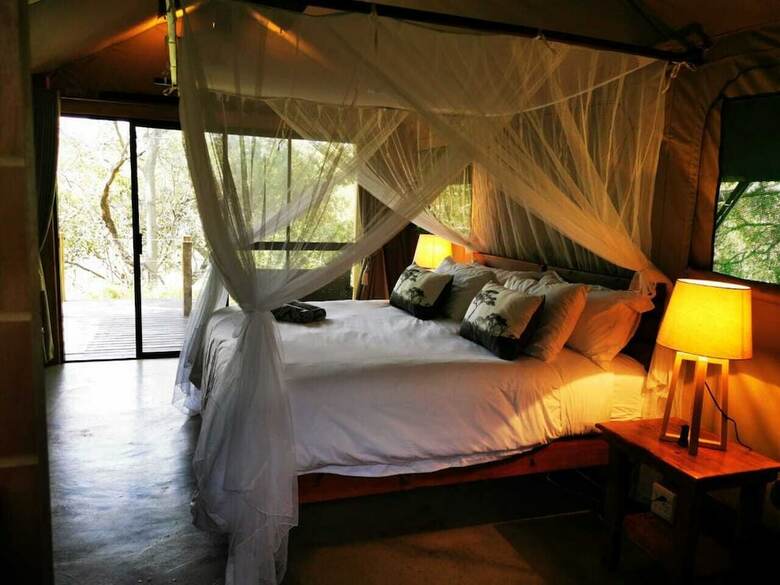 Little Africa Safari Lodge