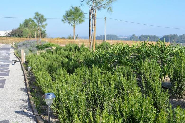 Agroturismo �bidos Wood Villas