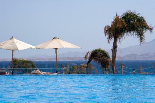 Hotel The Cleopatra Luxury Resort Collection
