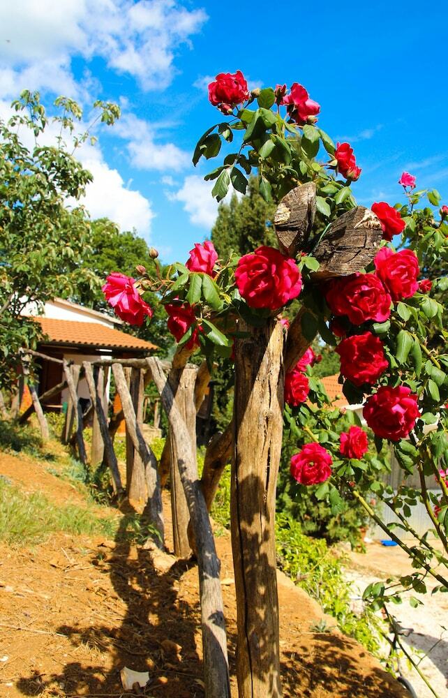 Agroturismo Agriturismo Millefiori