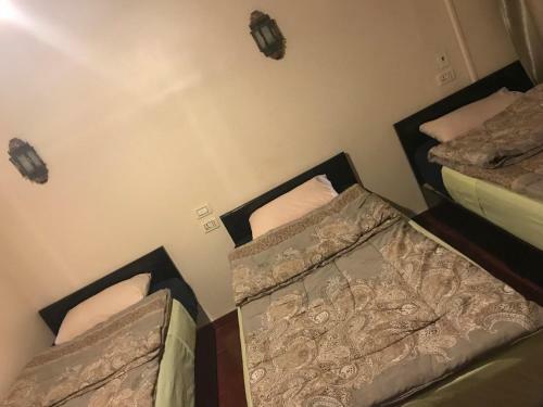 Wake Up! Cairo Hostel