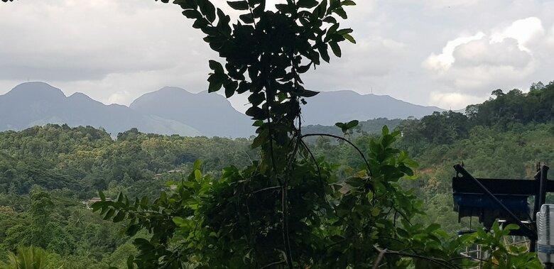 Hotel Knuckles View Bungalow