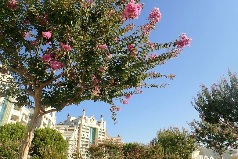 Fm Deluxe 1-bdr Apartment In Sunset Resort