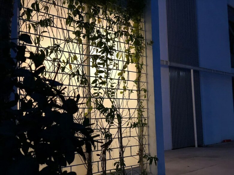 Villa Casa Ingenio Deep Inside Los Mochis