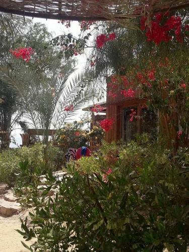 Albergue Nakhil Inn And Dream