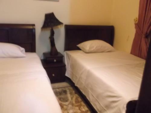 Furnished Apartment El-maali Street Roxy