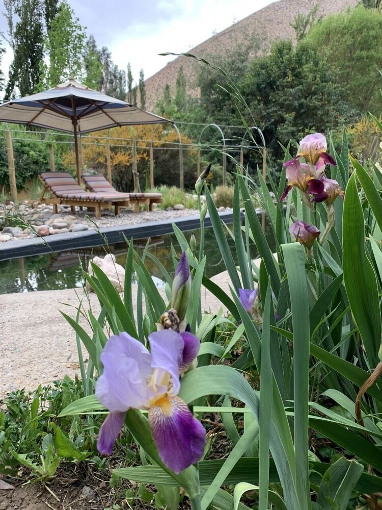 Hotel El Para�so Lodge Alcohuaz