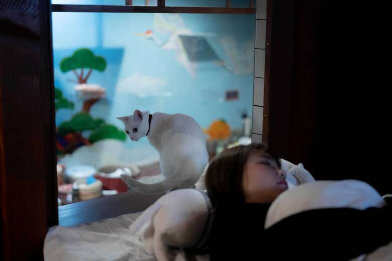 Hostal Neco Yokujo & Neco Hatago Neco Requblic - Hostel