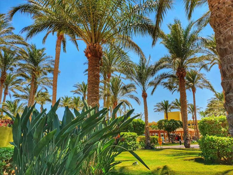 Hotel Palm Beach Resort