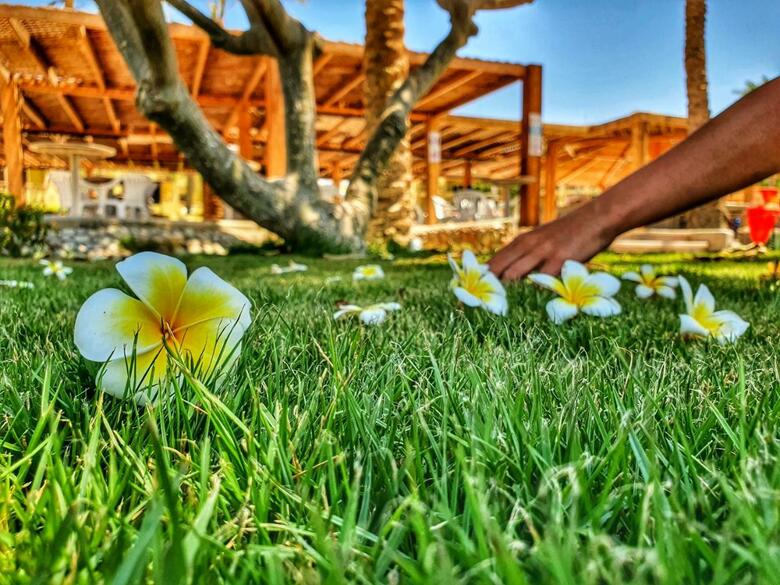 Hotel Palm Beach Resort