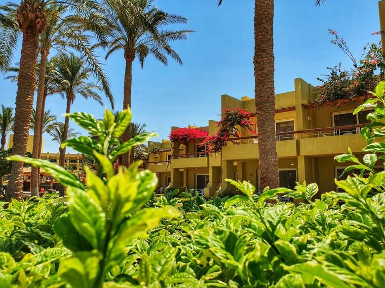 Hotel Palm Beach Resort