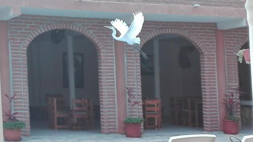 Suite Hotel Romanos