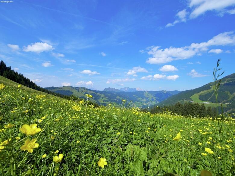 Cozy Apartment In Saalbach-hinterglemm With Sauna