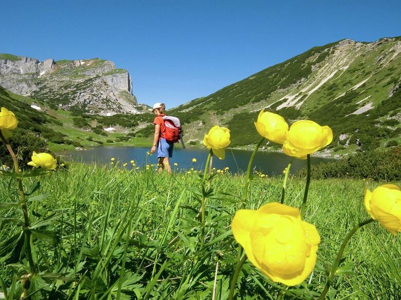 Apartment In Alpbach With Parking, Balcony, Storage, Heating