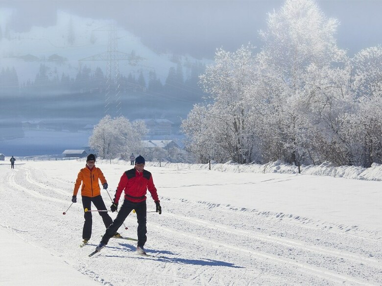 Exquisite Apartment In Mittersill Near Ski Area