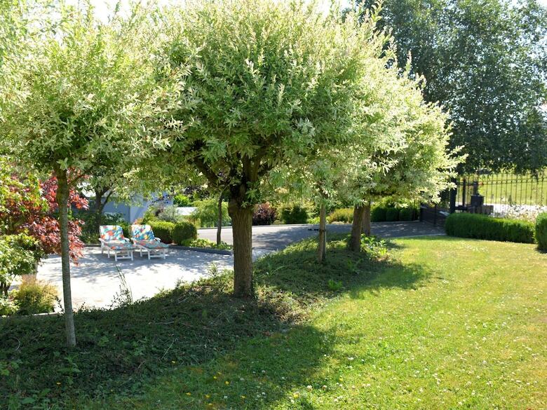 Charming Villa In Noirefontaine Near Forest