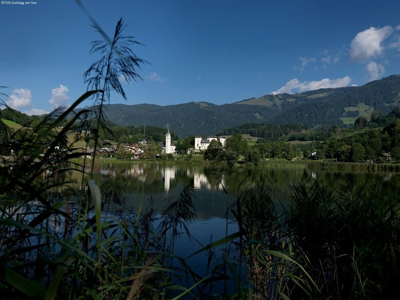 Spacious Holiday Home In Goldegg Near Ski Area