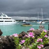 Hotel Angermeyer Waterfront Inn