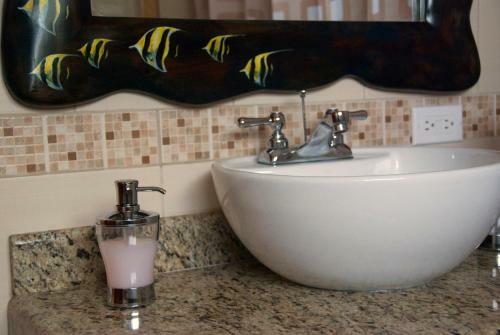 Galapagos Suites Bed & Breakfast