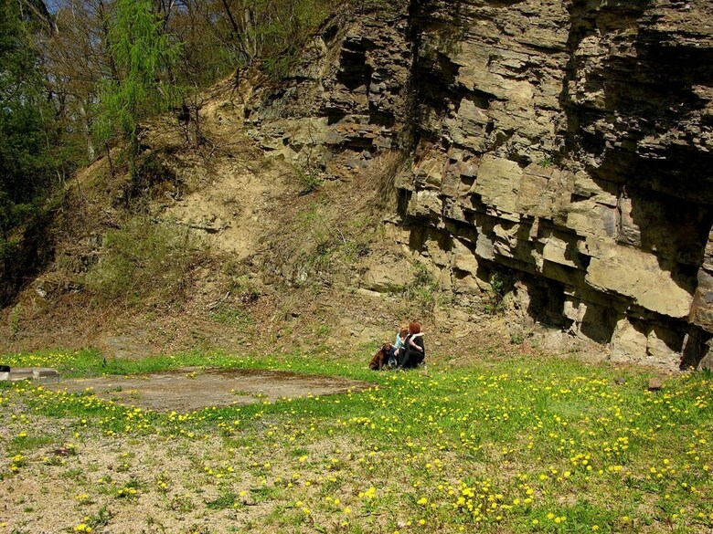 Gorgeous Holiday Home In Bodenbach Eifel With Garden