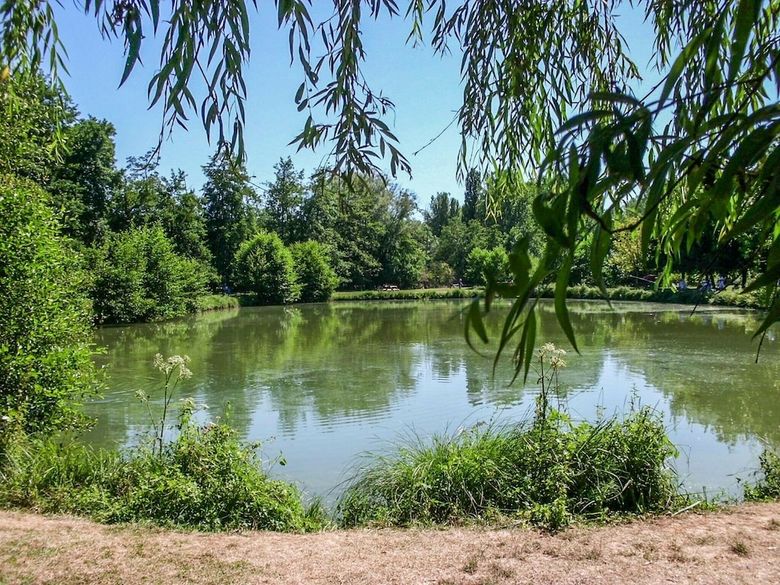 Peaceful Holiday Home Saint-martin-le-redon With Pool