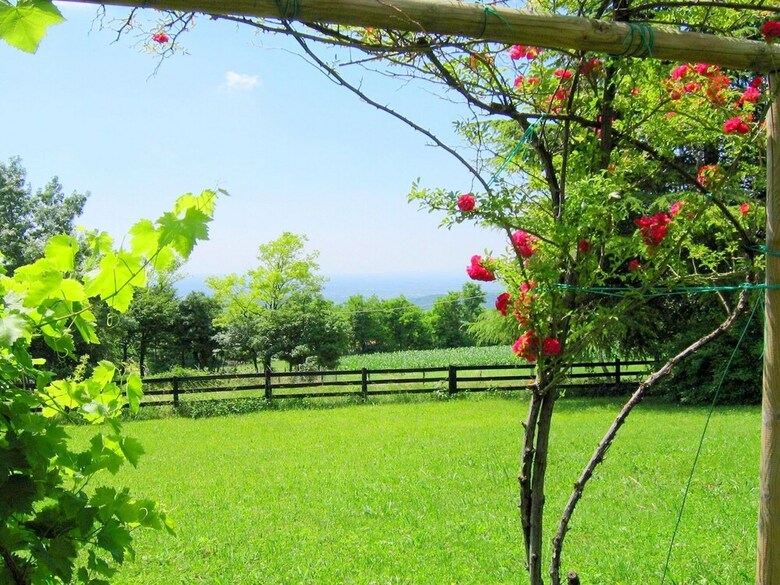 Cozy Detached House, Wide Garden, Wifi