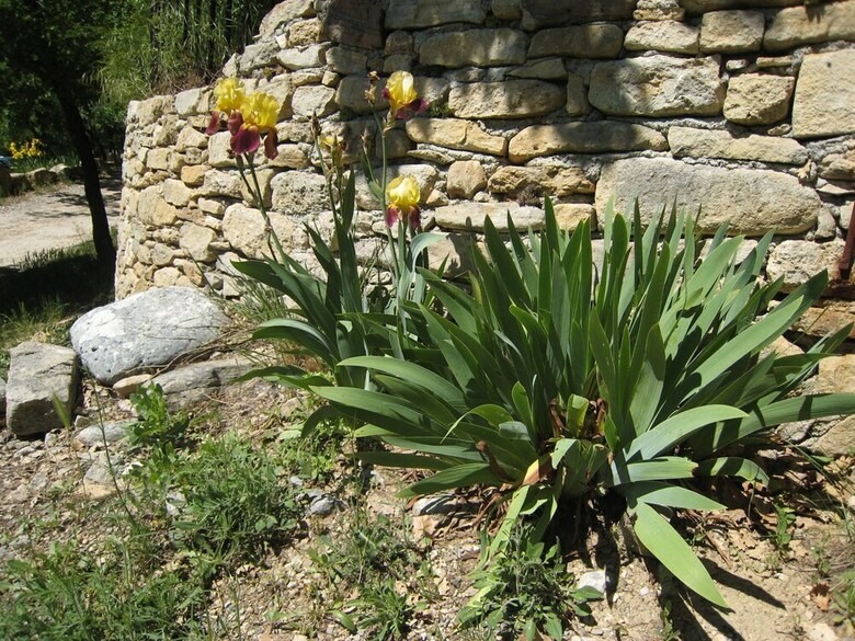 Cozy Cottage In Peaceful Hamlet Saint-martin-de-castillon