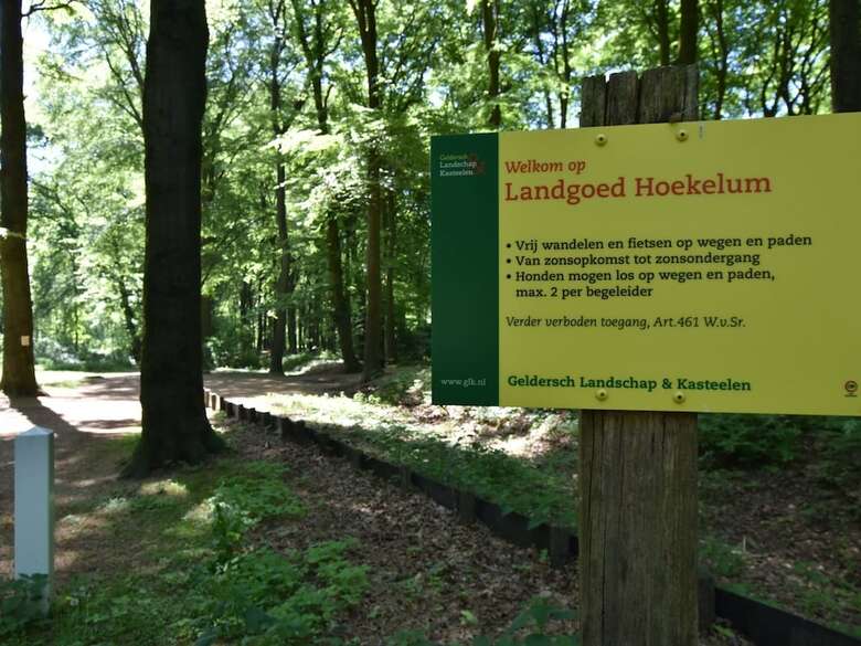 Detached Holiday Home In Guelders By The Forest