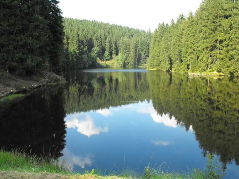 Pleasant Apartment In Wildemann Amid Forest