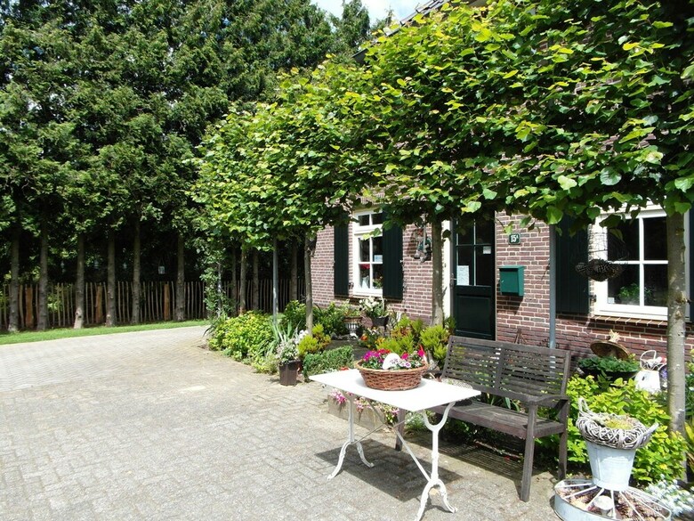 Spacious Holiday Home Near Forest In Bronckhorst