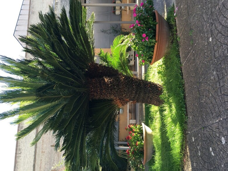 Bed & Breakfast Casa Ferie San Giuseppe Della Montagna