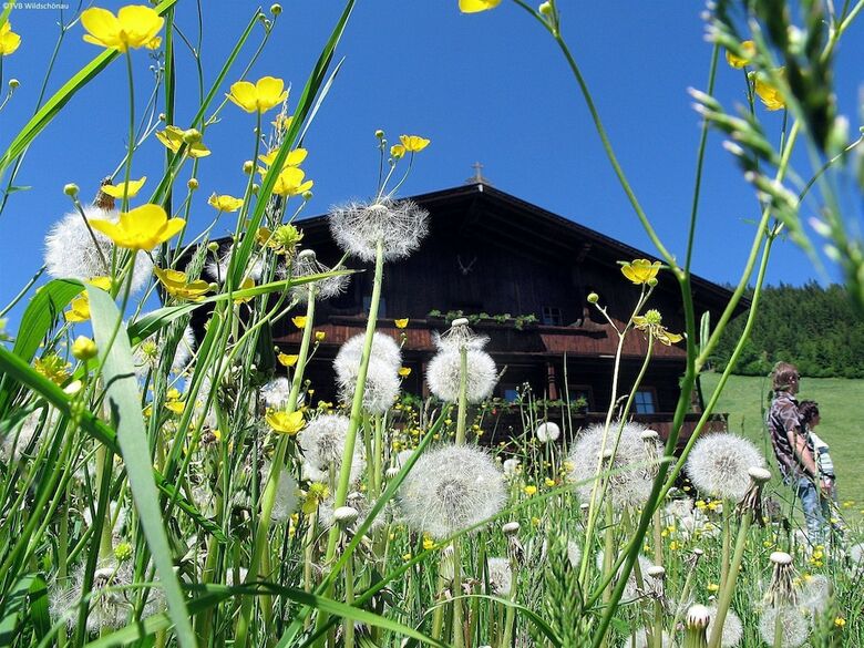 Vintage Chalet In Oberau With Terrace