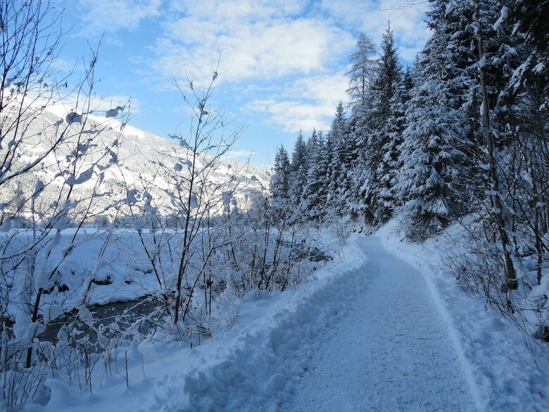 Charming Apartment In Neukirchen Near Ski Bus Stop