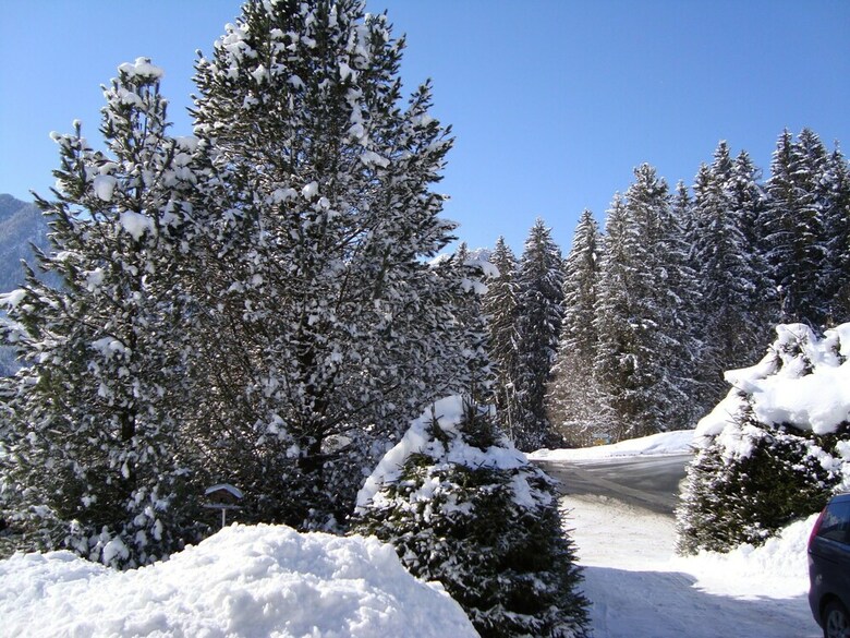 Charming Apartment In Neukirchen Near Ski Bus Stop