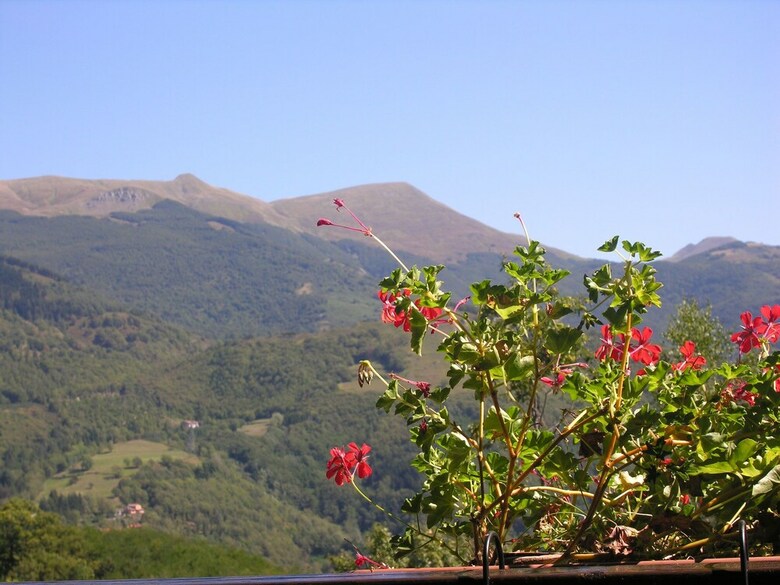 Spacious Chalet In Cutigliano With Swimming Pool